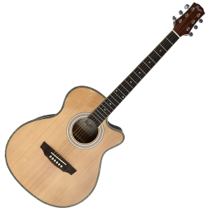Flight F-230 NA Akustische Gitarre