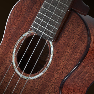 aNueNue AMM2E African Mahogany Konzert Elektroakustische Ukulele